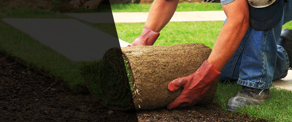 Mc Sherrystown Landscapers